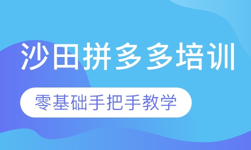 双师课+录播课+直播课沙田拼多多培训，沙田电商学习