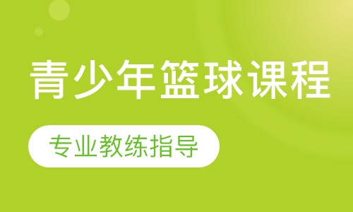 青少年篮球课程