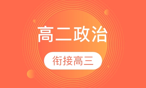 高二政治特色辅导课程