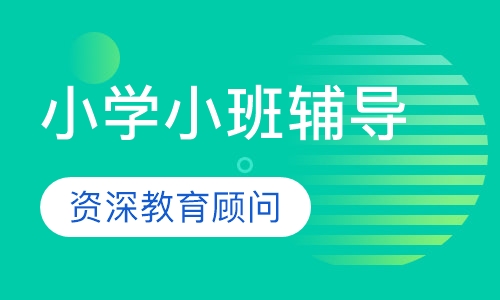 小学小班辅导