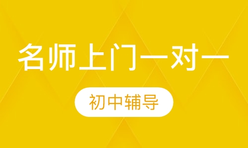 初中名师上门一对一辅导