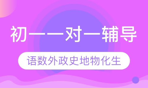 初一一对一辅导