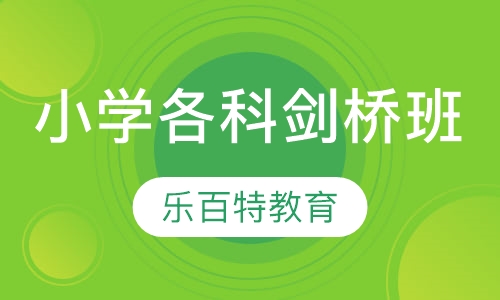 小学各科课程剑桥班