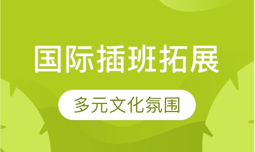国际插班拓展训练营