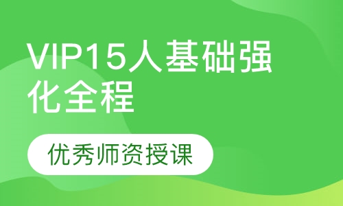 VIP15人基础强化全程班