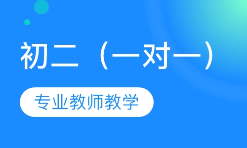 初二（一对一）