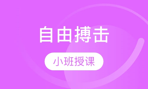 自由搏击