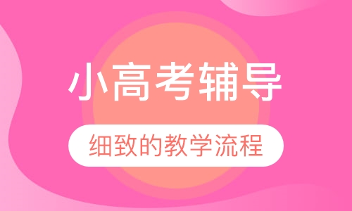 小高考辅导