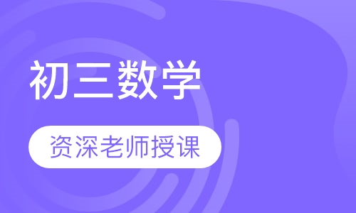 初三数学一对一辅导