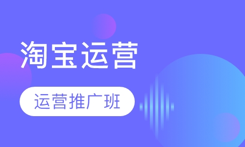 淘宝高级运营推广班