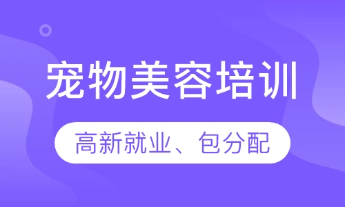 宠物培训