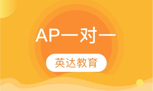 AP一对一