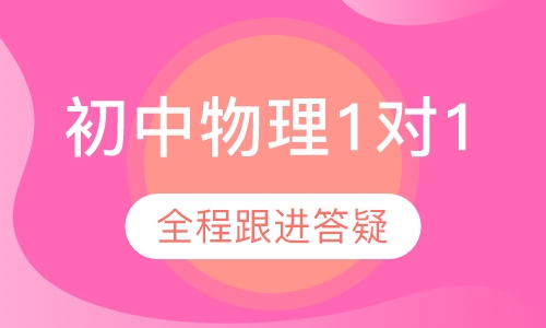 初中物理精准1对1
