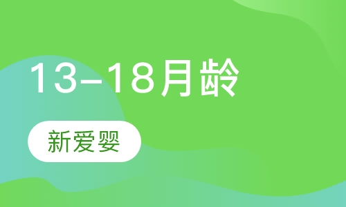 13-18月龄课程
