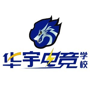哈尔滨华宇电竞培训学校
