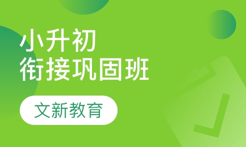 小升初衔接巩固班