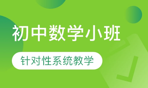 初中数学10人小班