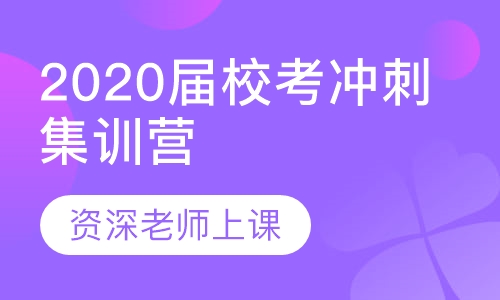 2020届校考冲刺集训营