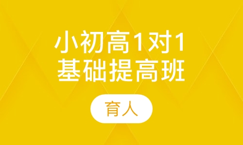 小初高1对1基础提高班
