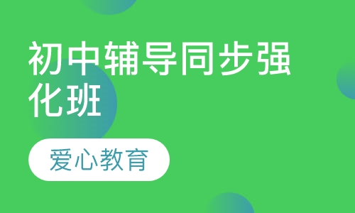 初中辅导同步强化班