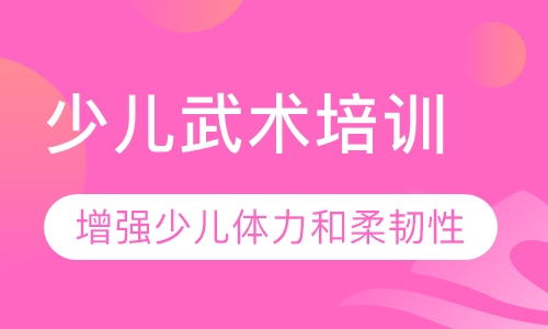 少儿武术培训