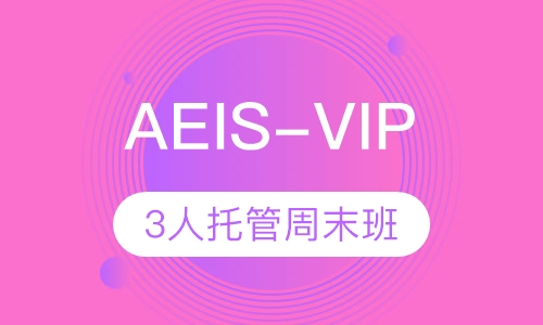 AEIS-VIP3人托管周末班