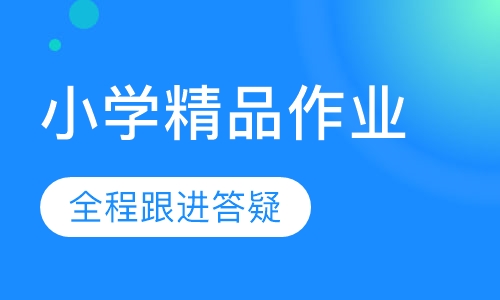 小学精品作业辅导