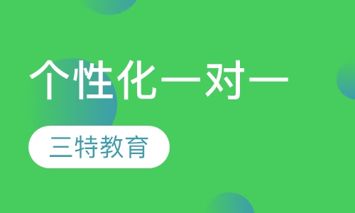 个性化一对一