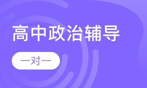 高中一对一政治辅导