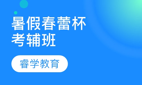 暑假春蕾杯考辅班