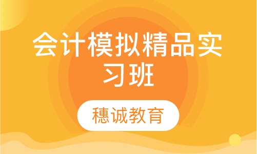 会计模拟精品实习班