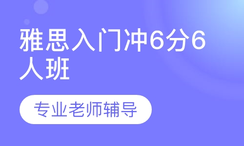 雅思入门冲6分6人班