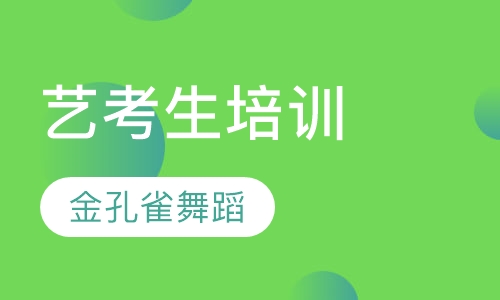 艺考生培训