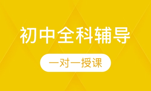初中一对一全科辅导
