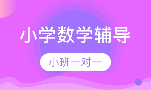 小学数学辅导