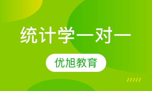 VIP一对一Statistics订制