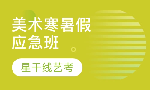 美术专业寒暑假应急班