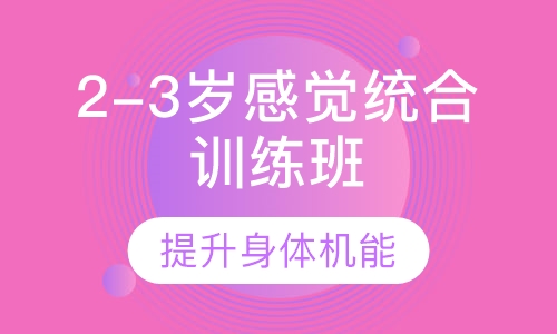 2-3岁感觉统合训练班