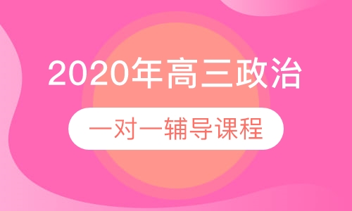 2020年高三政治一对一辅导课程