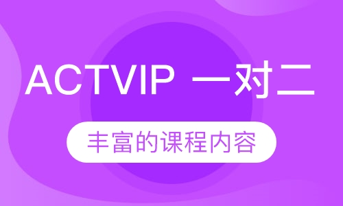 ACTVIP 一对二