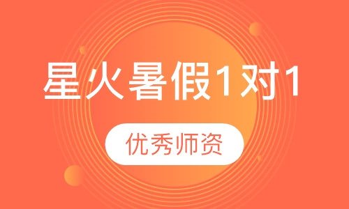 星火暑假1对1