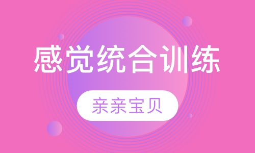 感觉统合训练课程