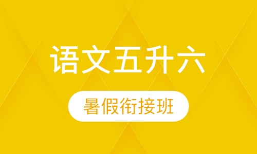 语文五升六暑假衔接班