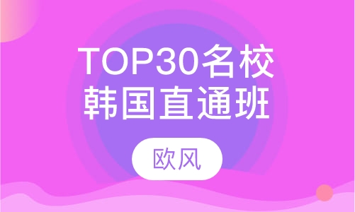 韩国TOP30名校直通课程