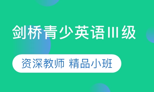 剑桥青少英语EN IN MINDⅢ级