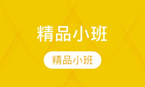 初中精品/一对一