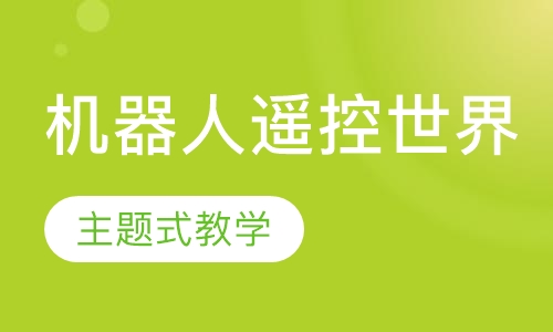 机器人遥控世界