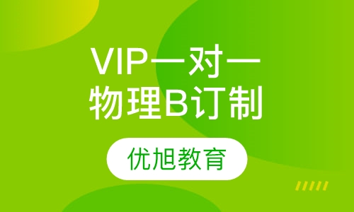 VIP一对一AP Physics B 物理B订制