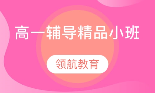 高一辅导精品小班