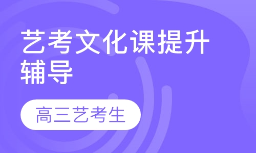 艺考文化课提升精品辅导